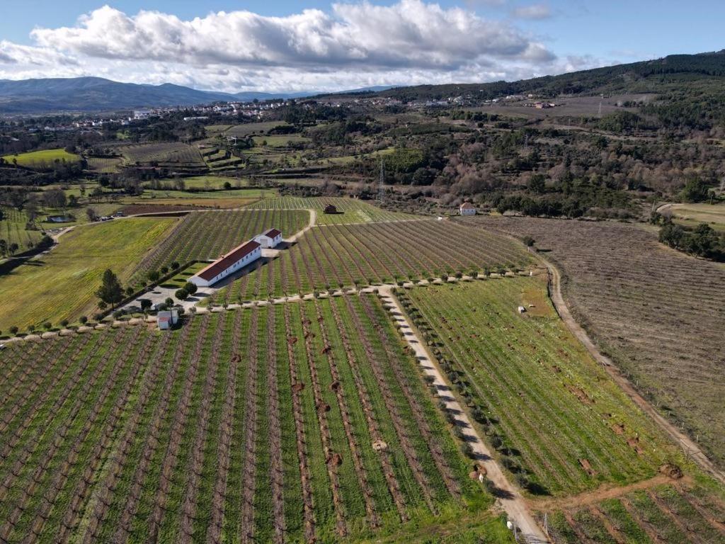 Quinta Lourena - Casa Do Caseiro Covilhã Εξωτερικό φωτογραφία