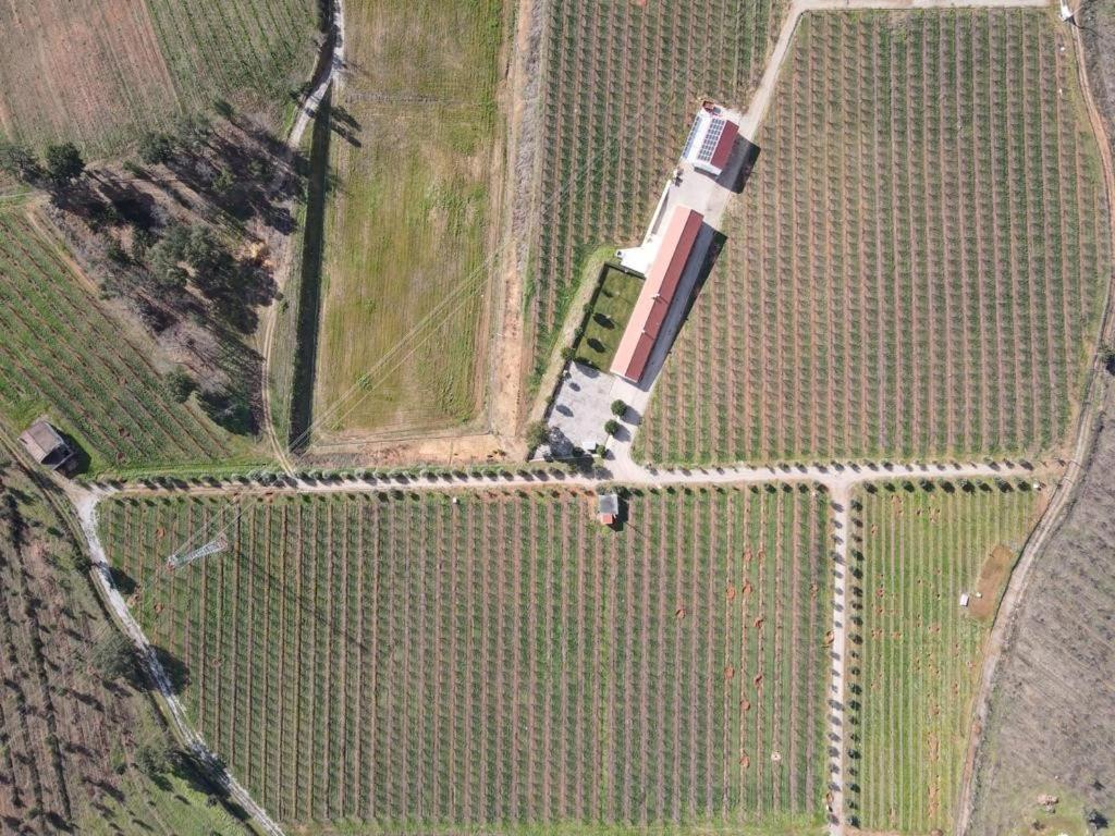 Quinta Lourena - Casa Do Caseiro Covilhã Εξωτερικό φωτογραφία